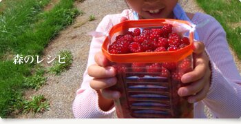 森のレシピ